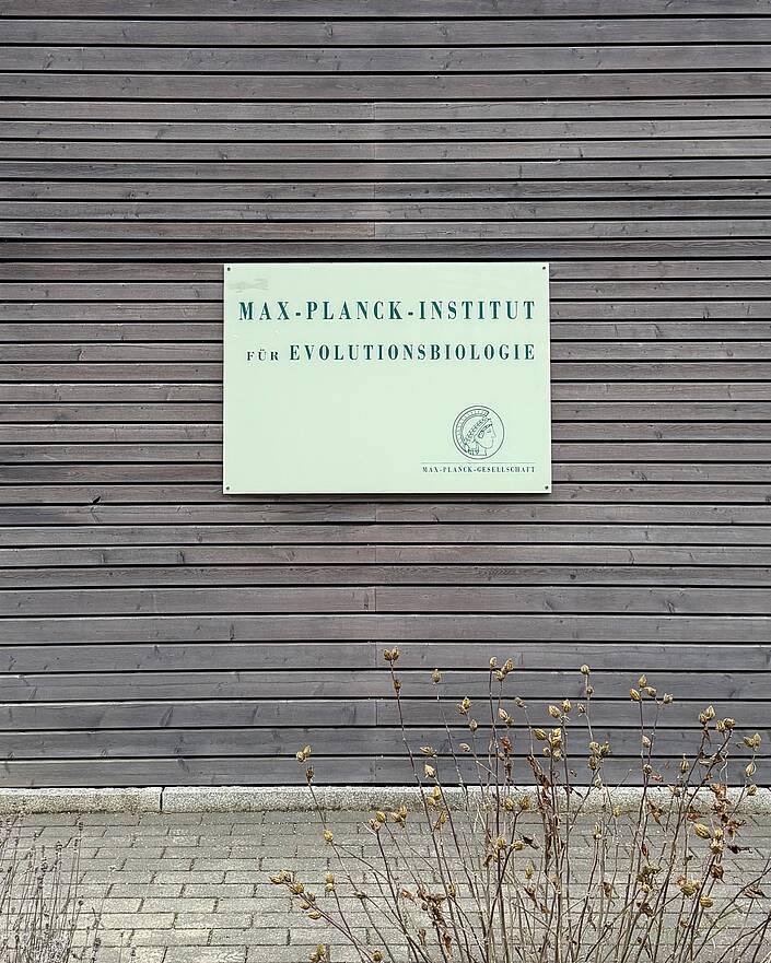Holzfassade mit Firmenschild
